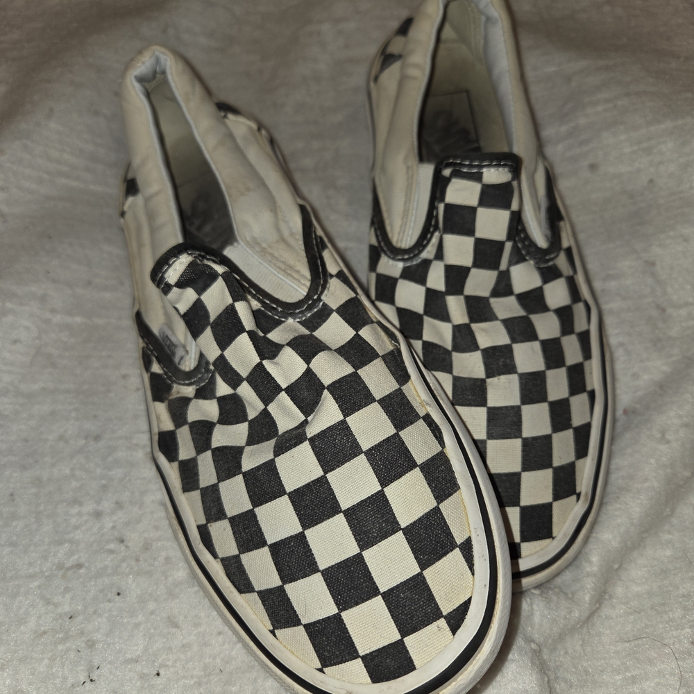 Vans Black and White Checkered Slip-On Shoes